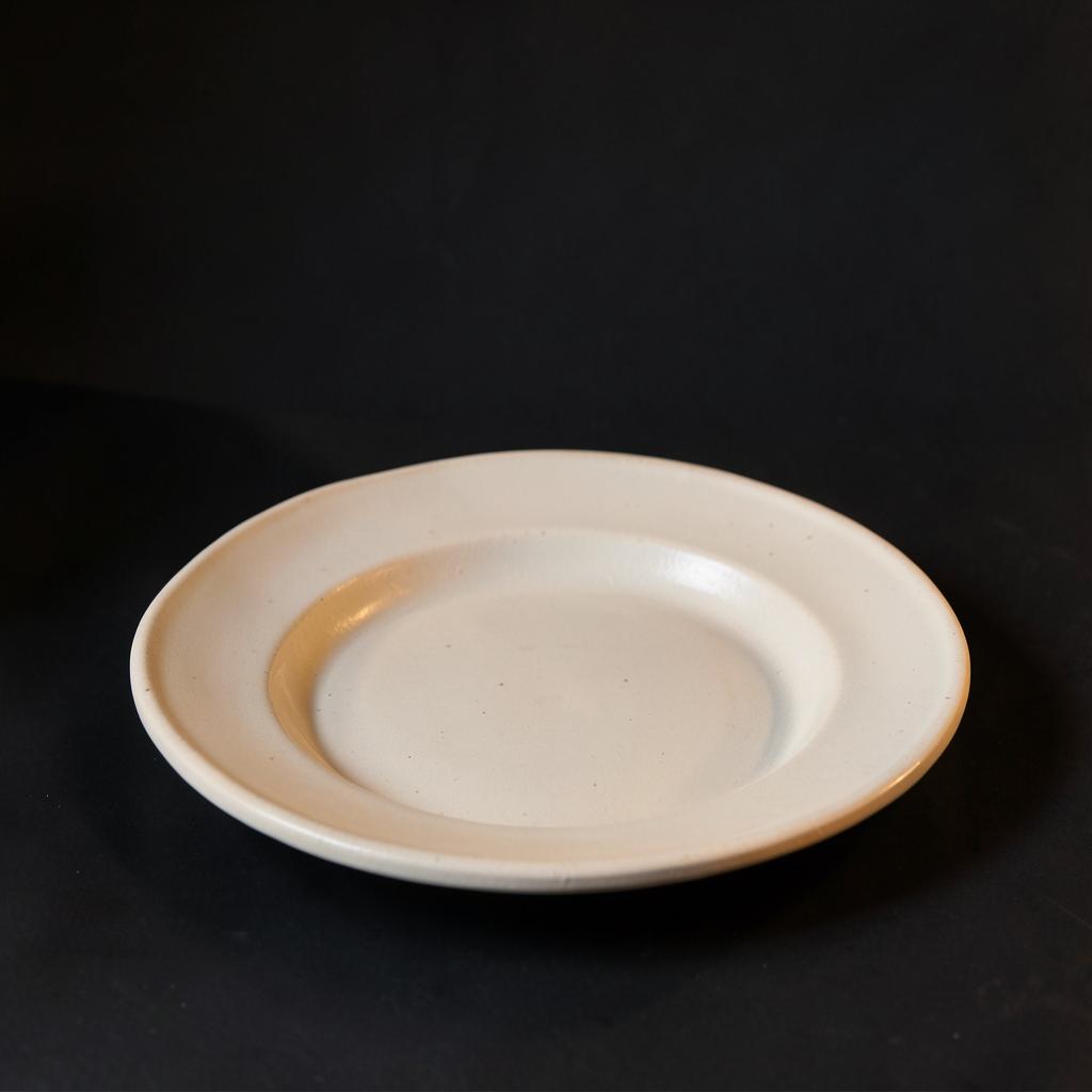 Dinner plate